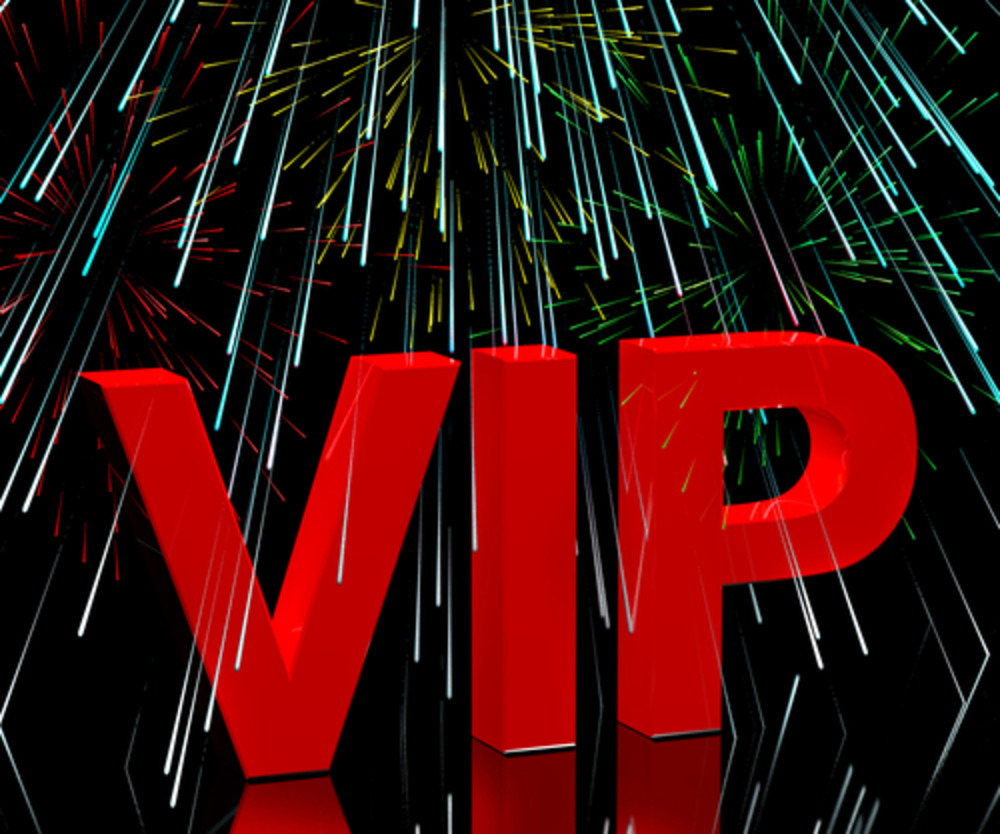 DIPLOMATIC & V.I.P. SERVICES